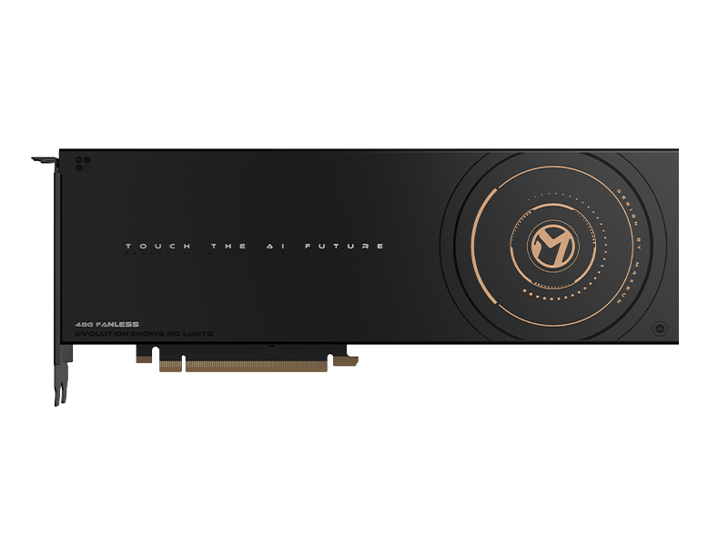 MS Intel Arc Pro B60 Dual 48G Fanless
