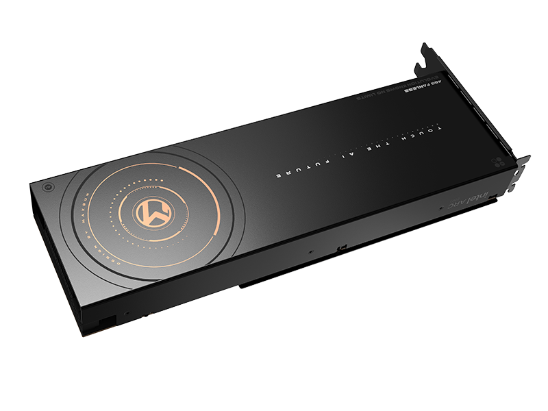 MS Intel Arc Pro B60 Dual 48G Fanless
