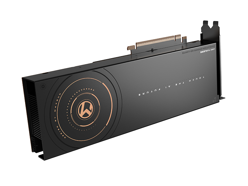 MS Intel Arc Pro B60 Dual 48G Fanless