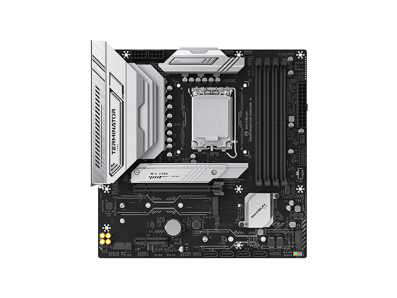 MS-Terminator B860M-E