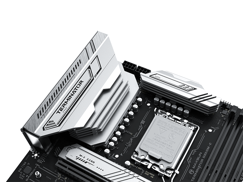 MS-Terminator B860M-E