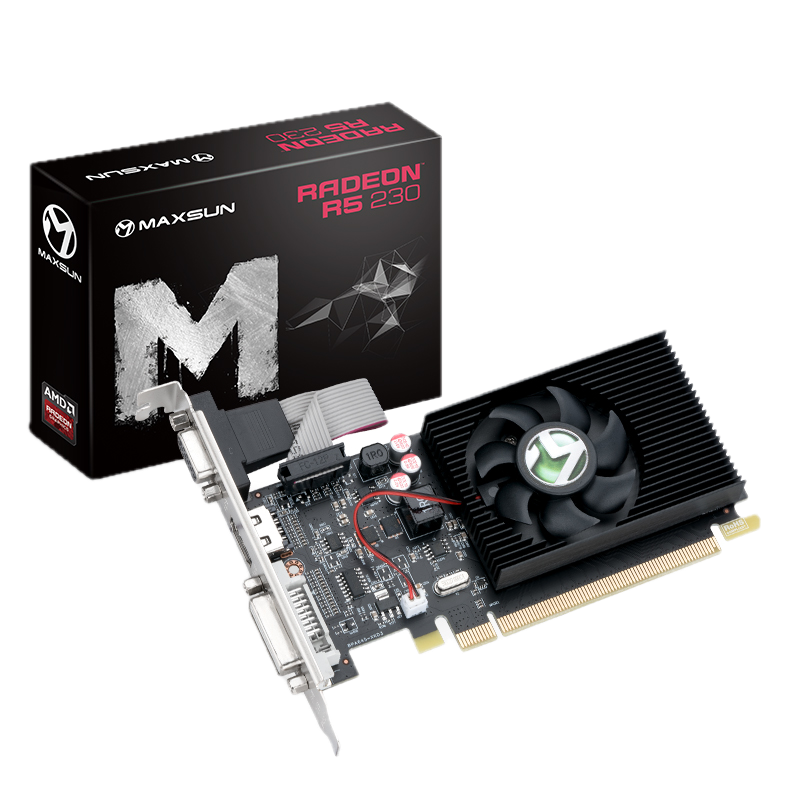 MS-R5 230 LP 2G
