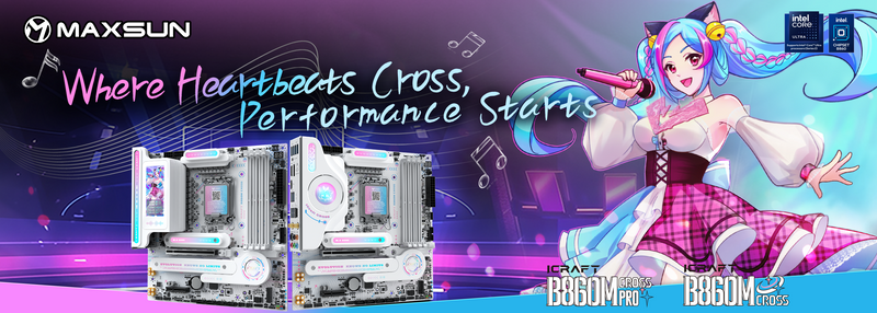 MAXSUN Motherboard