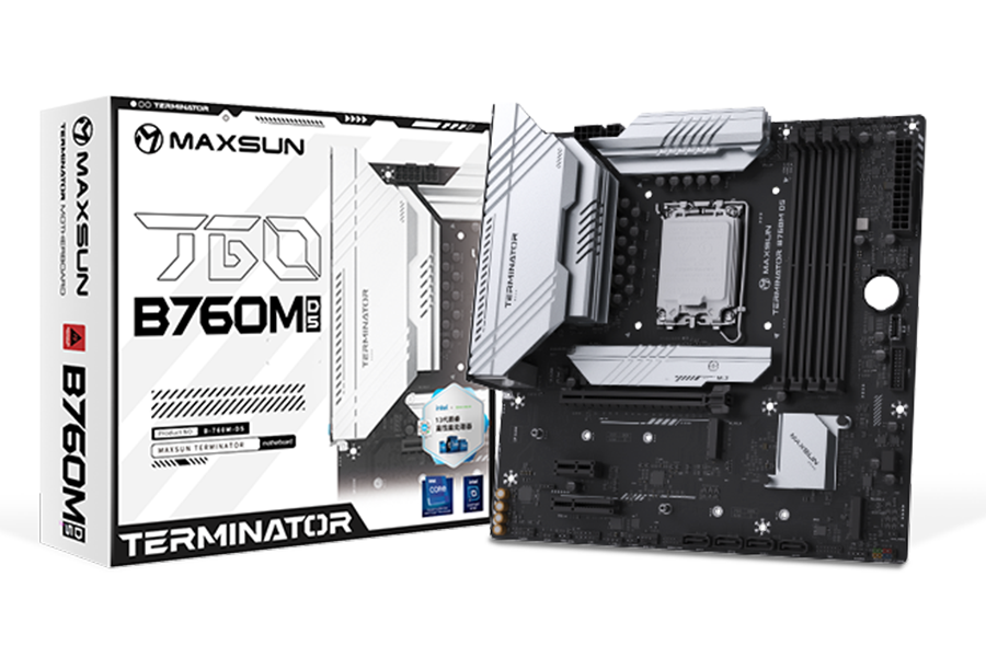 MS-Terminator B760M D5 WIFI 6E