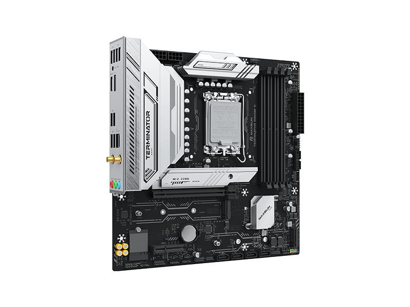MS-Terminator B860M-E WIFI