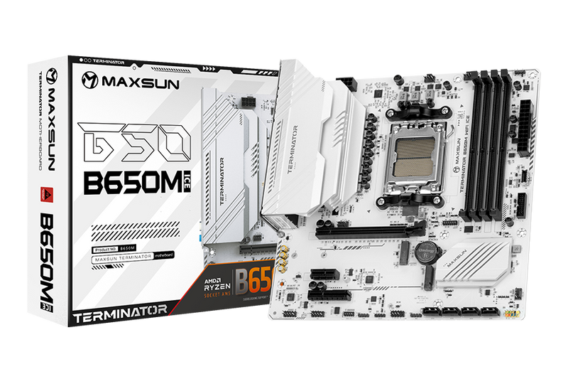 MS-Terminator B650M WIFI ICE