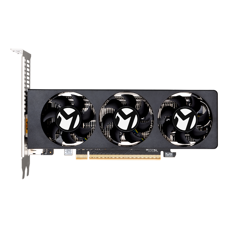 RTX5060 LP 8G