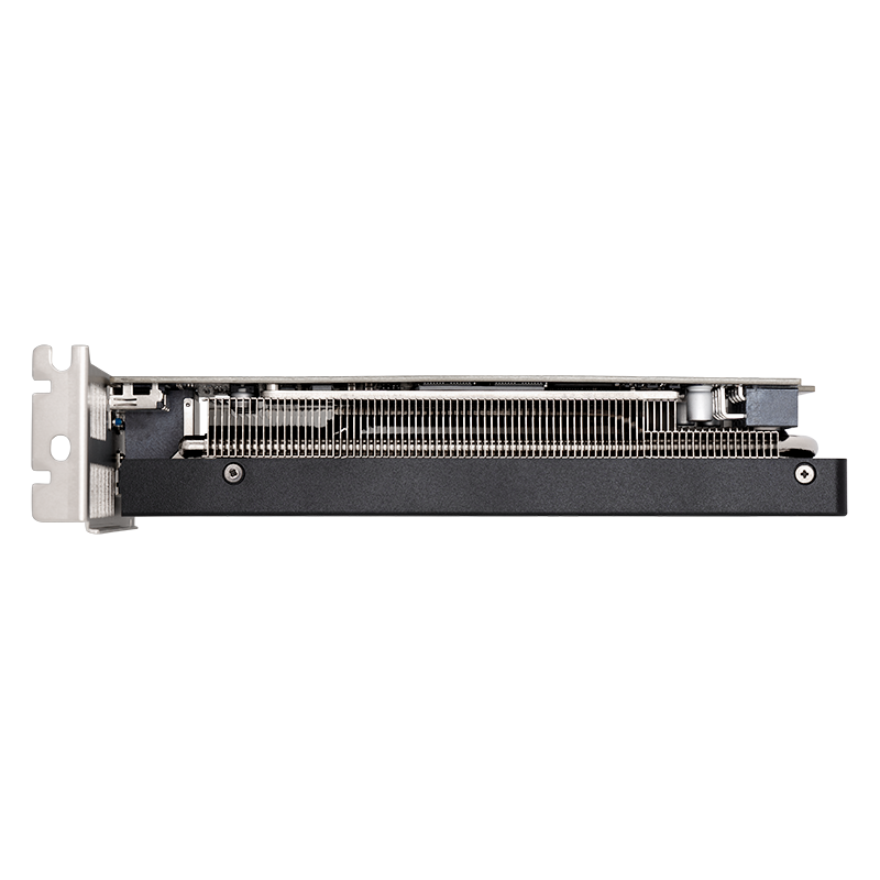 RTX5060 LP 8G
