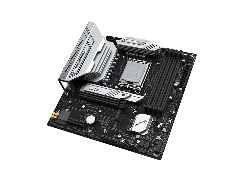 MS-Terminator B860M-E WIFI
