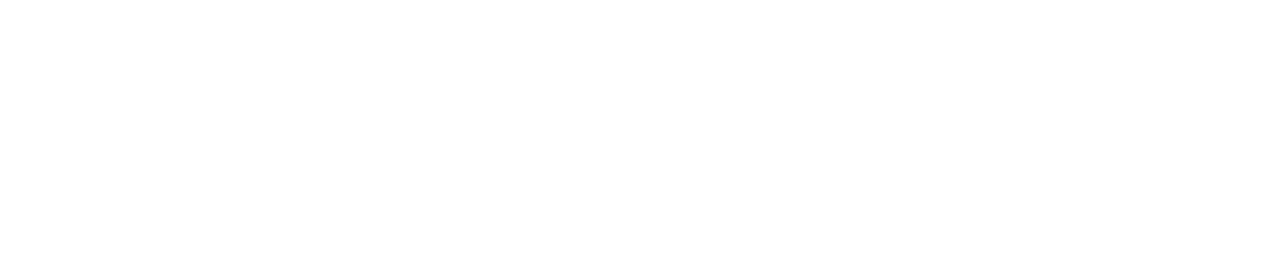 MAXSUN logosu